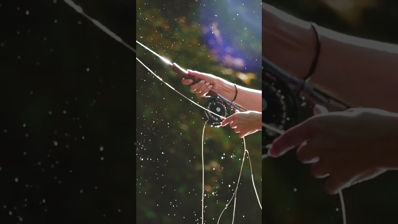 How to cast a fly rod : Description Below