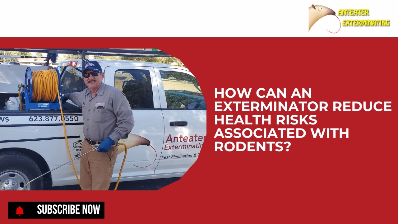 How Can an Exterminator Reduce Health Risks Associated With Rodents?