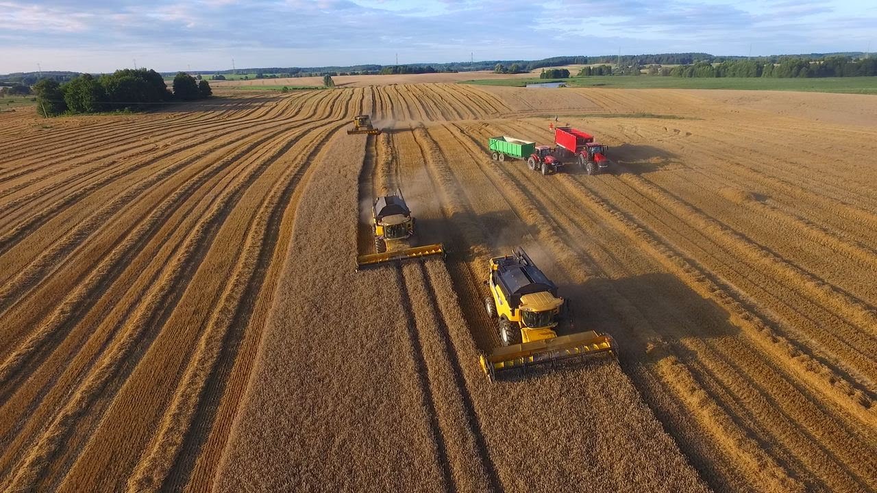 Żniwa 2021 na wielką skalę! Rogowski i GR Błaszczak | 6xNH | 3xMagnum | 1500ha | Mazury