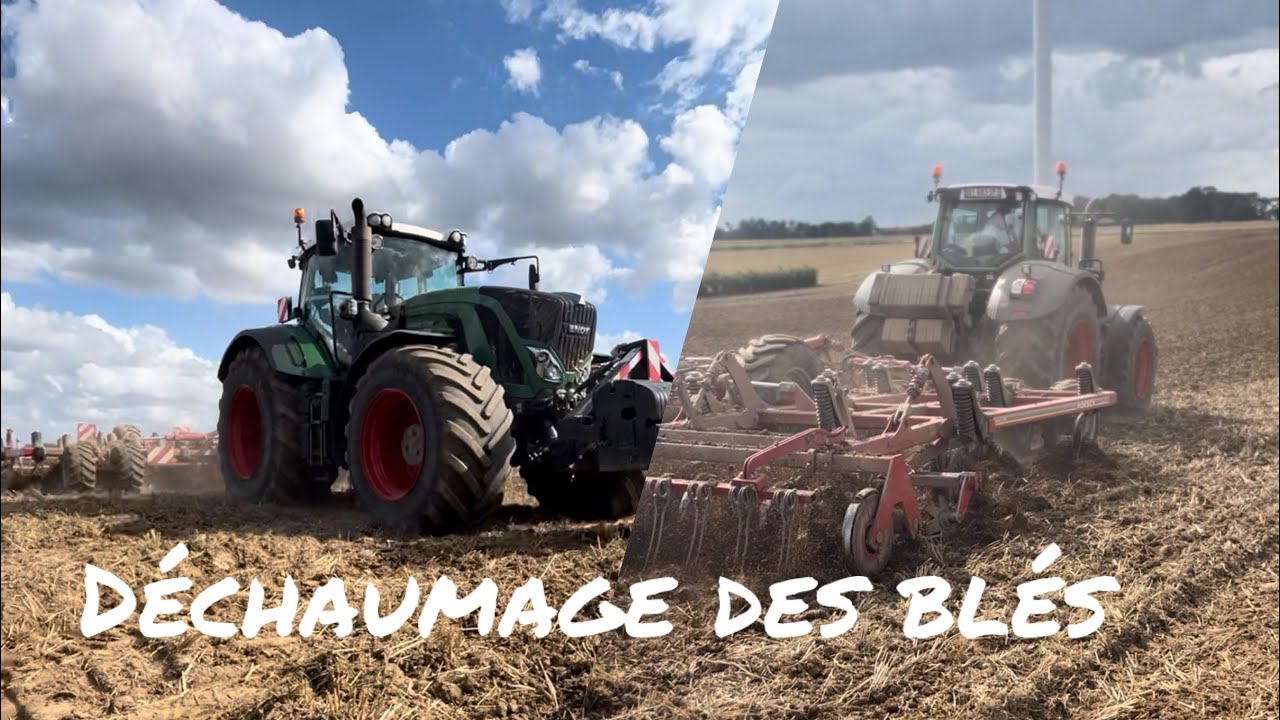 Déchaumage des blés