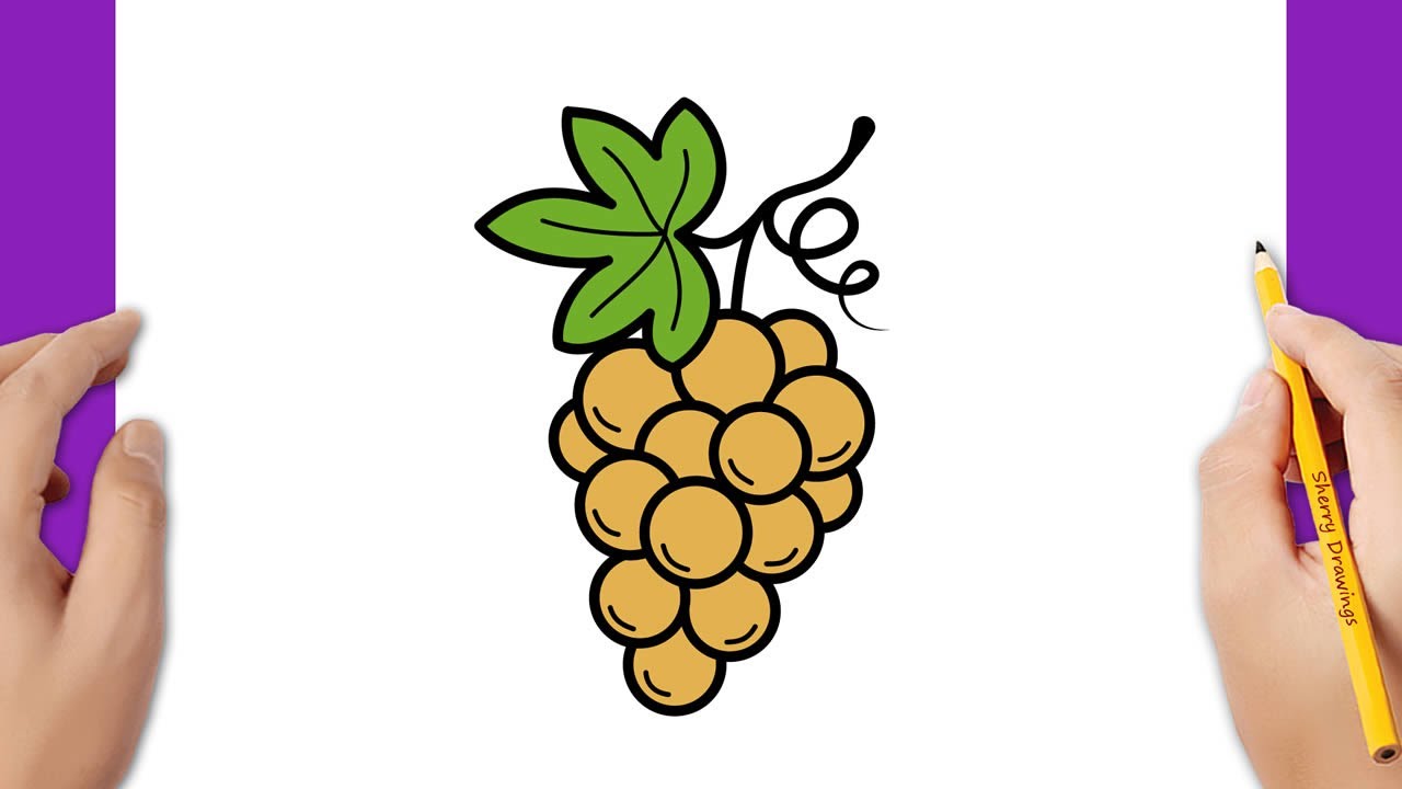 HOW TO DRAW GRAPES EASY