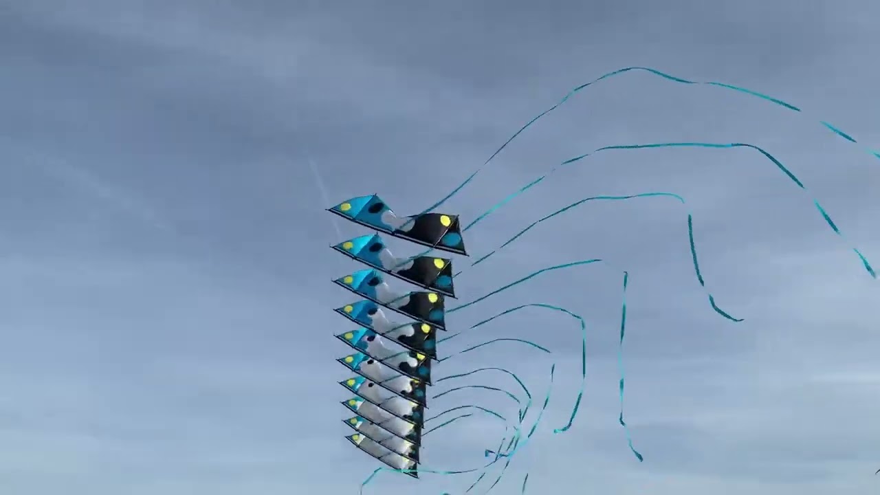 10 Stack Quadline Kite