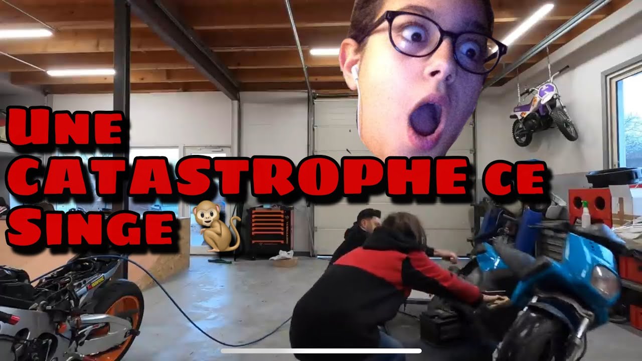 JE DÉFIE SINGE DE REMETTRE CE STUNT EN ROUTE 🔧+ JE LUI OFFRE LE SCOOT 🎁