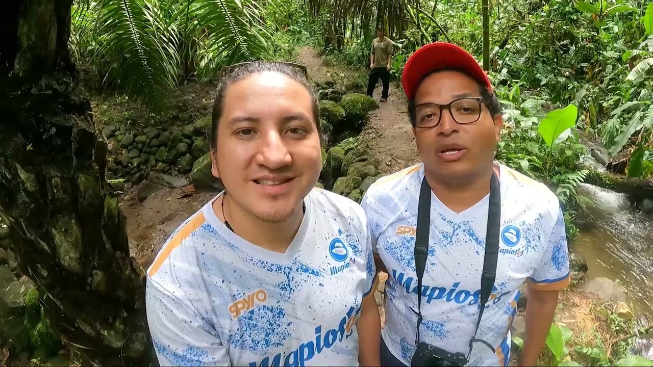 Mindo lleno de Aves - Conociendo Mindo mas a profundo