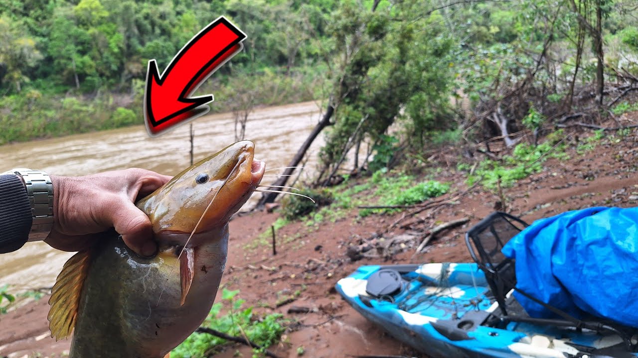 Rio Sujo e Tempestade! A Hora Que Os Brutos Aparecem! Pescaria Raiz de Jundiá