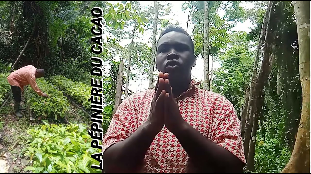 Comment Créer Un Champ de Cacao