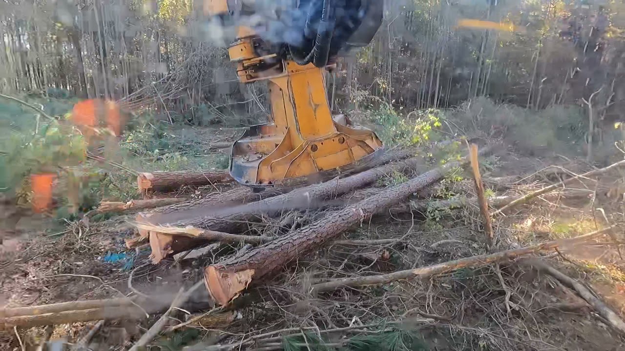 Tigercat track cutter
