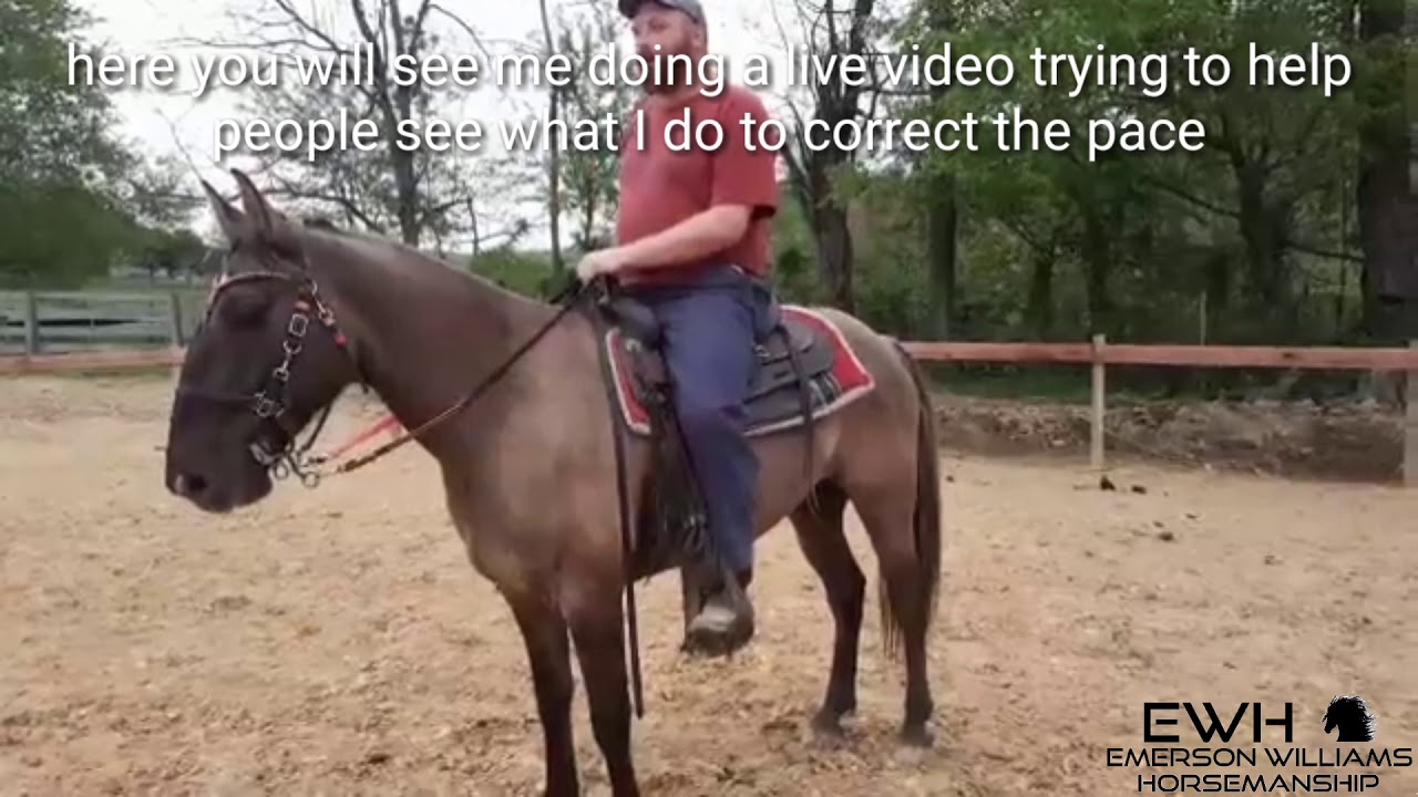 How to STOP the PACE