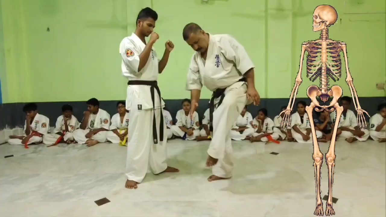 The Science of the Low Kick | Kyokushin Breakdown of Bone Targets for Maximum Impact - Gedan Mawashi