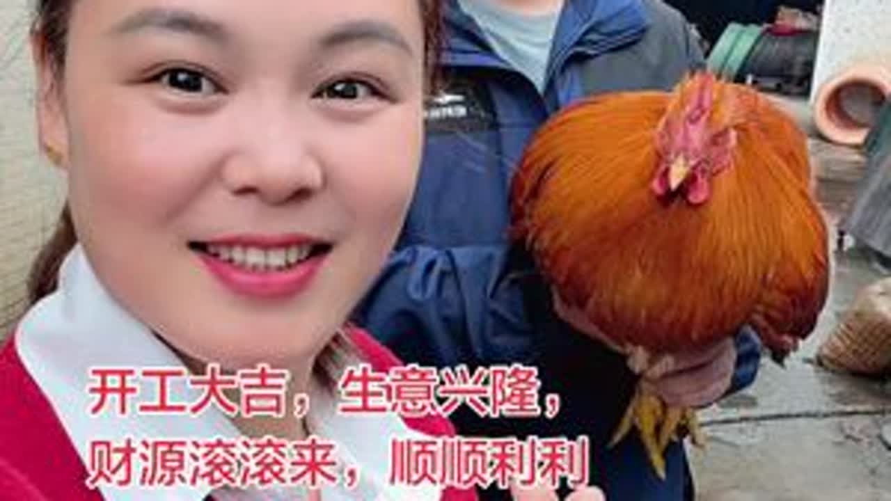 正月十二，开市大吉🧨新一年[發][發][發]，马上发财[庆祝]🧧生意兴隆，财源广进🧧🧧万事如意，大吉大利🧧