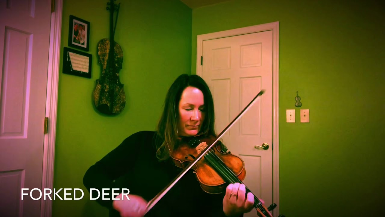 Forked Deer