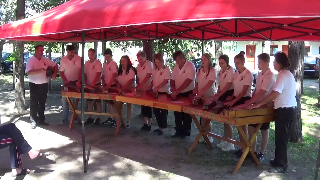 Balotaszállási citerazenekar