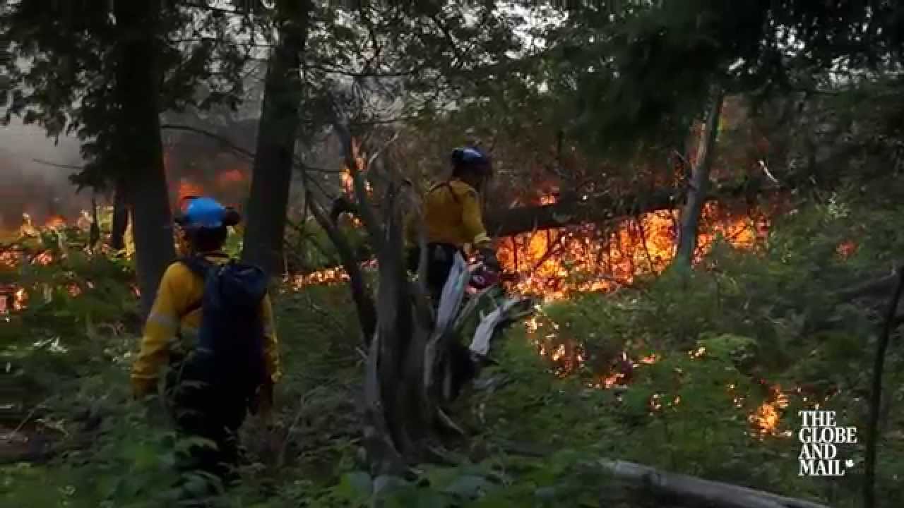 Watch how a Parks Canada crew conducts a controlled forest fire