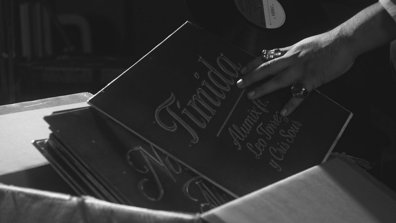 Alu Mix, Leo Torrez, Cris Sour - Nostalgia .0012 Tímida (Visualizer)