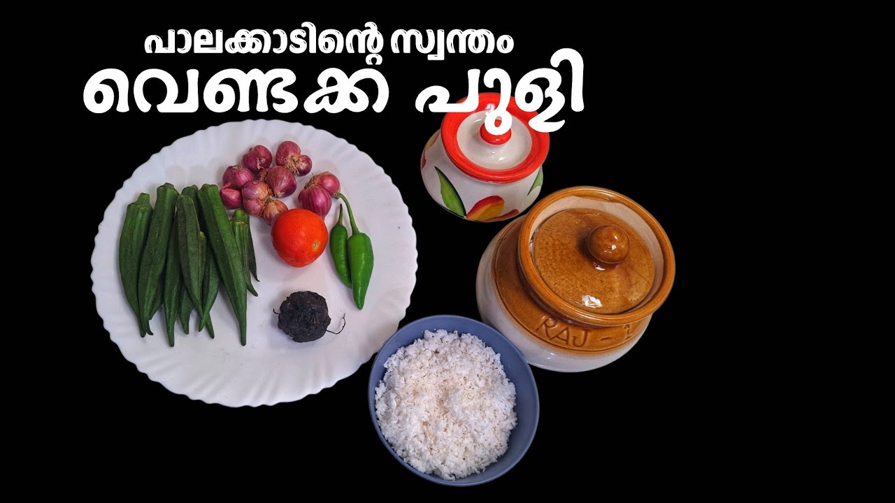 പാലക്കാടിന്റെ സ്വന്തം വെണ്ടക്ക പുളി ഉണ്ടാക്കാം | Palakkad Special Vendakka Puli Recipe | Okra Recipe