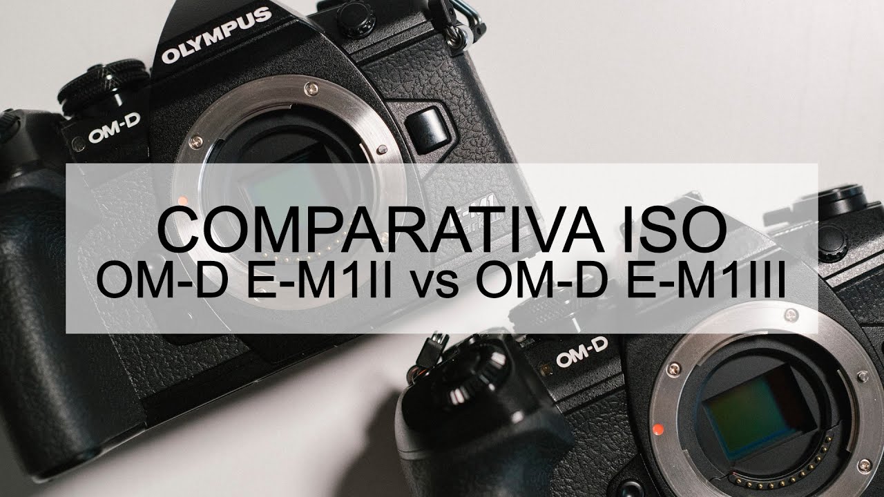 Olympus M1II vs. M1III - Comparativa ISO/RUIDO