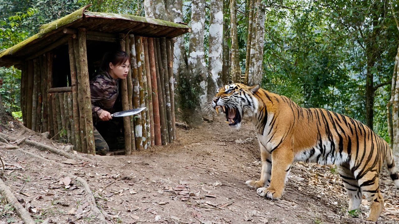 detect dangerous animals, set up emergency shelters, survival alone