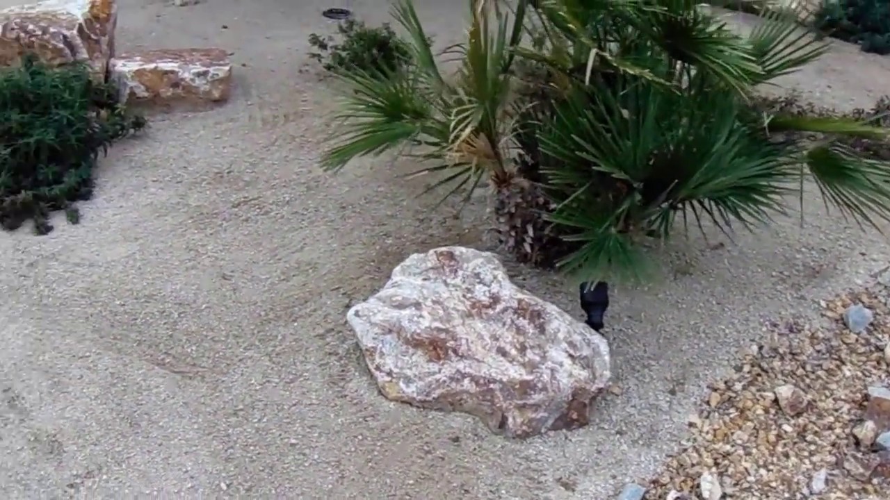 Decomposed Granite and Rock Installation Done Right !