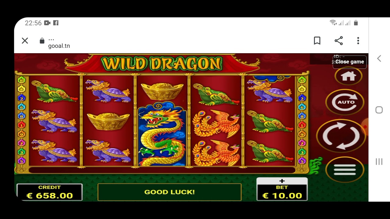 wild dragon#big win