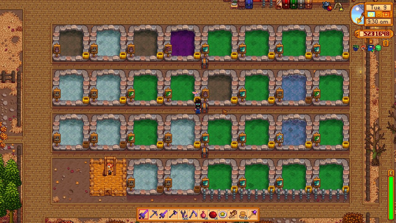 Modded Stardew Valley PC 