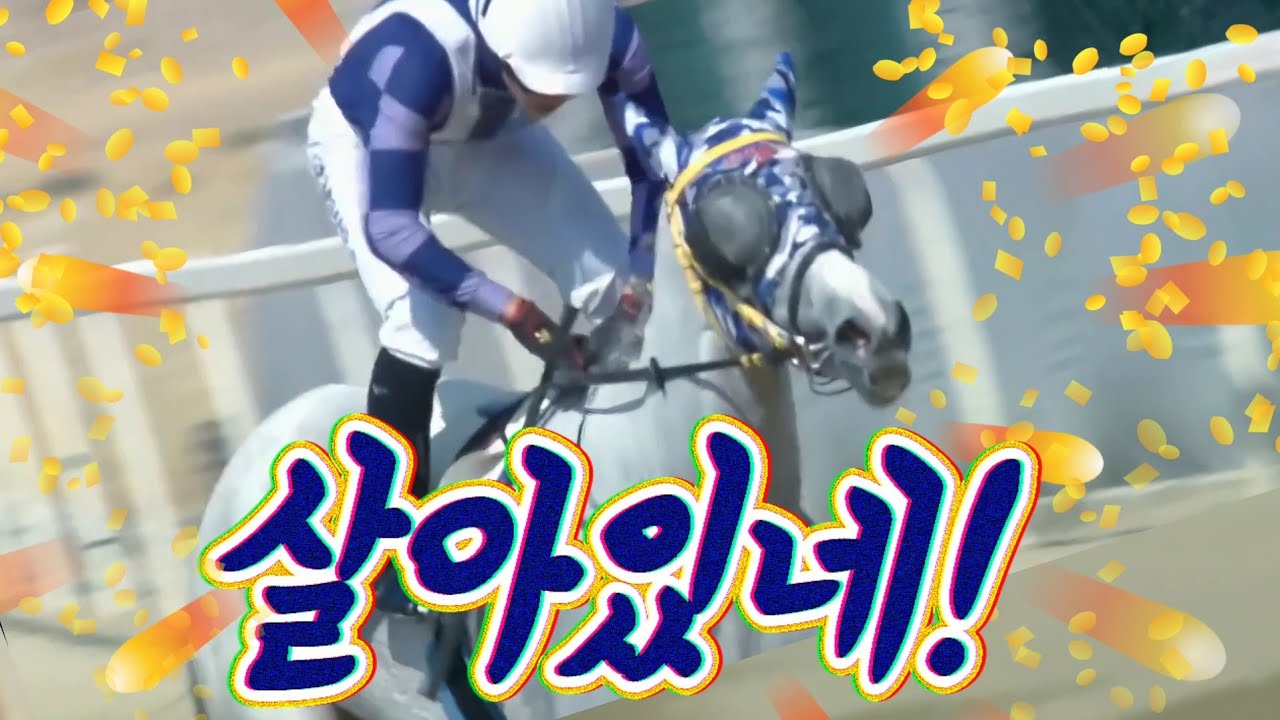 의심하셨습니까. 와이어 투 와이어로 이겨버린 유니카의 일곱번째 경주
