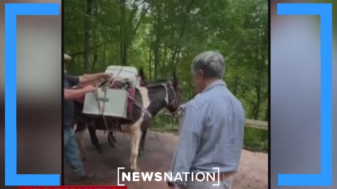 United Cajun Navy assists with search, rescue and recovery in North Carolina | Morning in America
