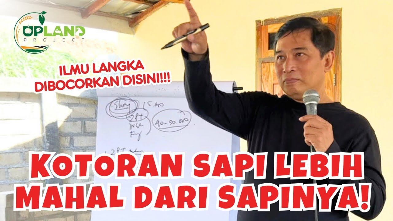Gara-gara Biogas, Kotoran Sapi Lebih Mahal dari Sapinya‼️ | UPLAND Project