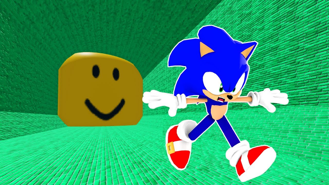 Sonic Played Noob Head Escape Obby in ROBLOX | Sonic Plays Roblox