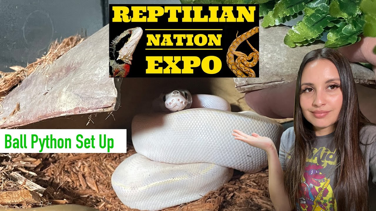 Reptile Expo: BUYING MY FIRST SNAKE