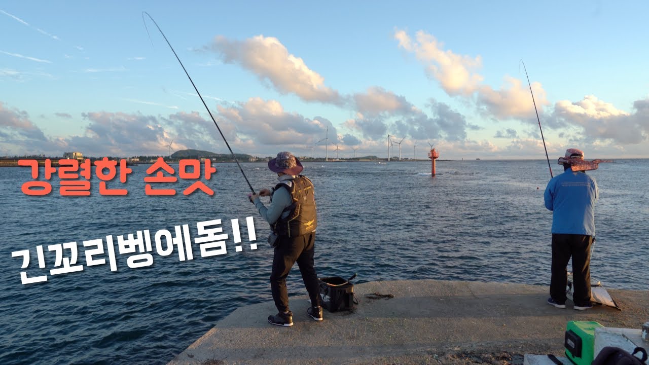 〔4K〕긴꼬리벵에돔의 강렬한 손맛/제주도에서 가장 아름다운 포인트/한치낚시의 열기/아름다운 제주 밤바다/Seafishing in Jejudo-island, South Korea