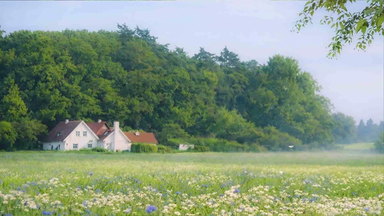 a quiet playlist for quiet beauty of everyday life