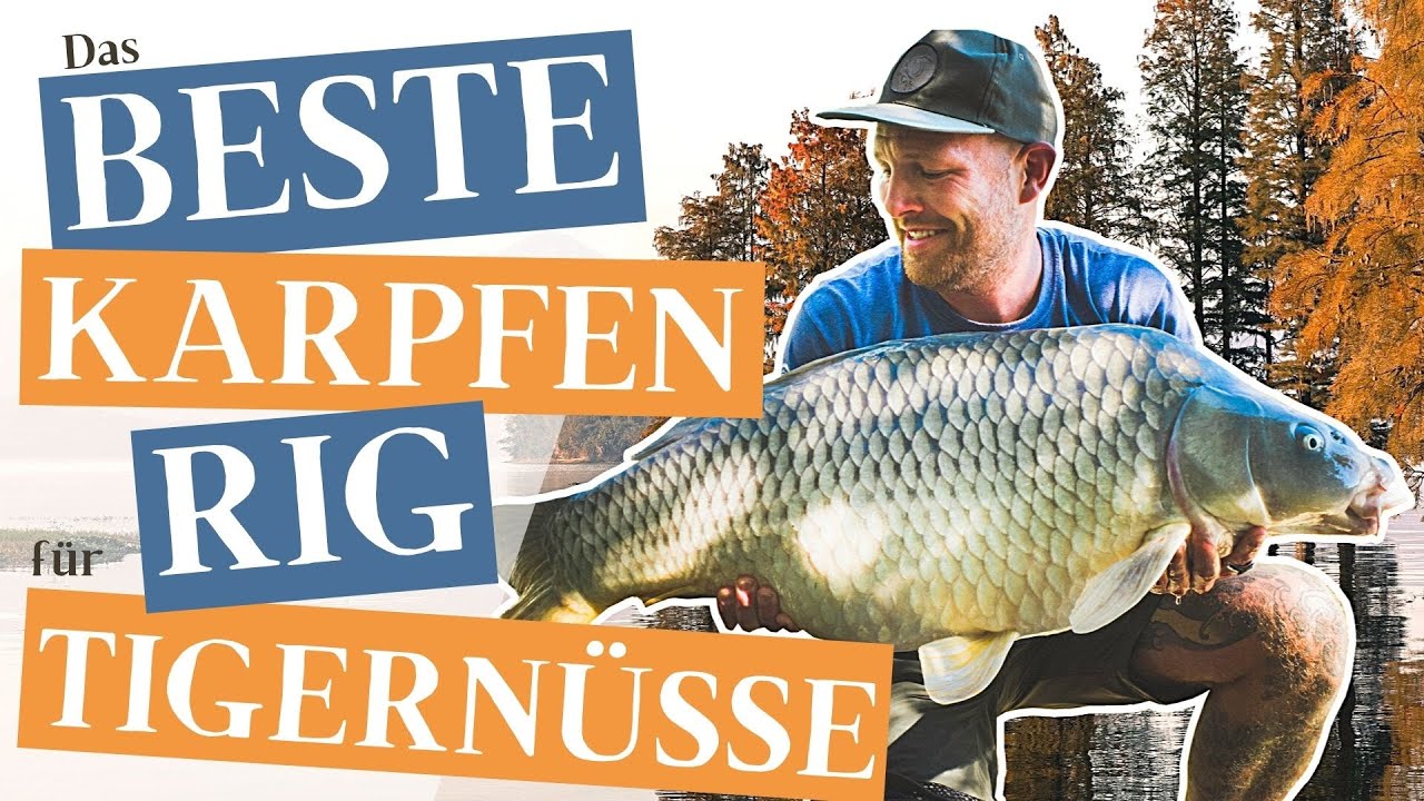How To: Das Beste Karpfen Rig Für Tigernüsse - Das IQ² D-Rig!