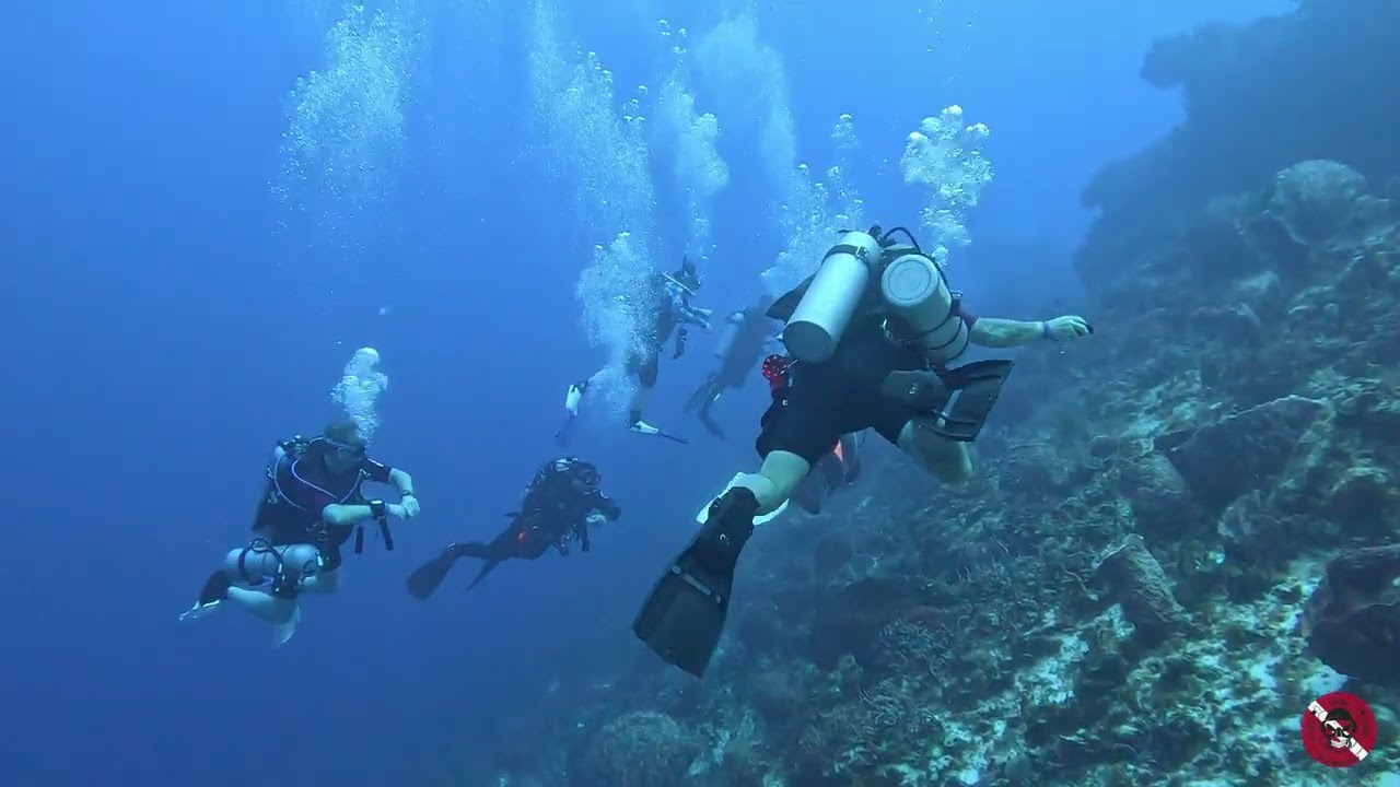 Tropical Scuba Diving in Cozumel, Mexico San Francisco Wall Deep Dive
