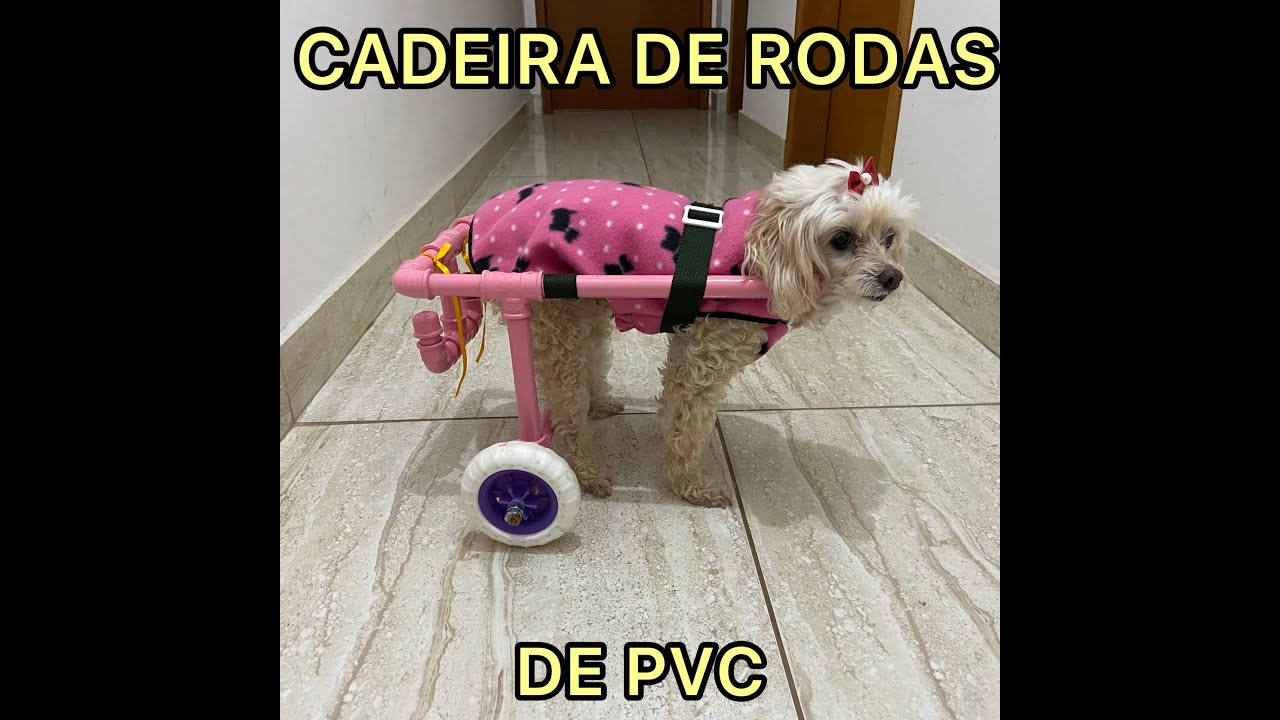 COMO FAZER CADEIRA DE RODAS PARA CACHORRO E GATO