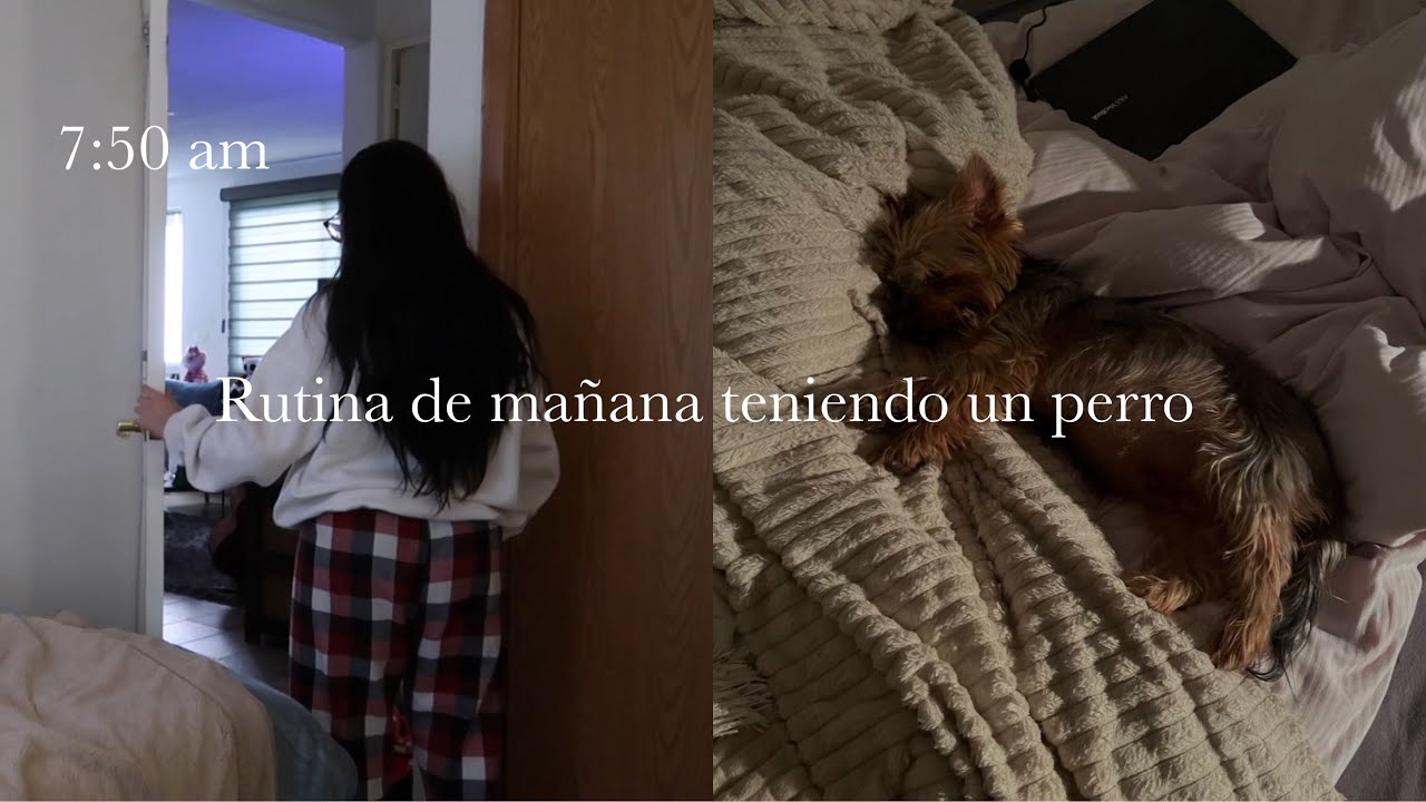 Mi rutina de ma&ntilde;ana viviendo con mi perro l pasearlo, desayunando