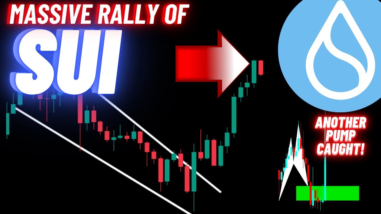 Massive Rally Of SUI Crypto Coin