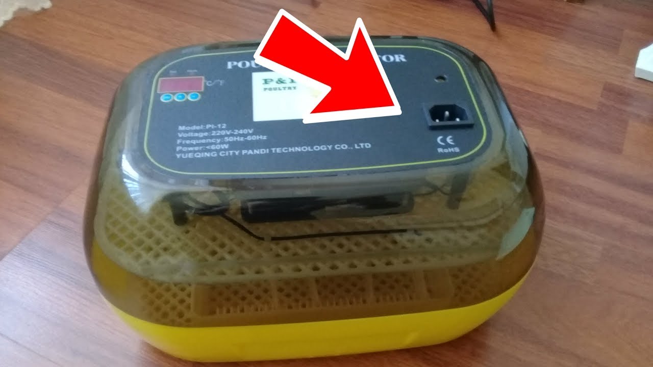 12Lİ KULUÇKA MAKİNESİ ALDIM !!