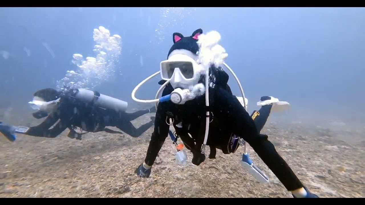 2026.03.10 (바다,사람,그리고 좋은 인연이 시작되는 곳