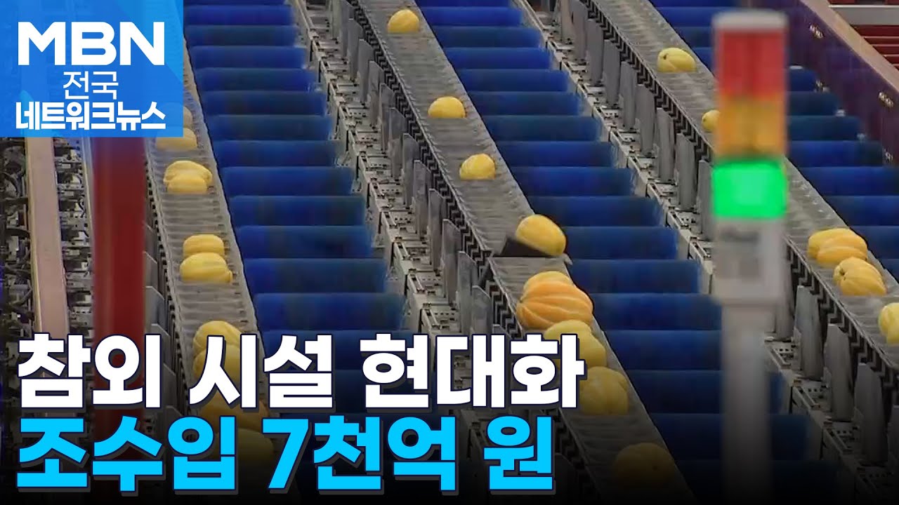 한겨울 맛보는 꿀맛…성주 참외 올해 첫 출하 [전국네트워크]
