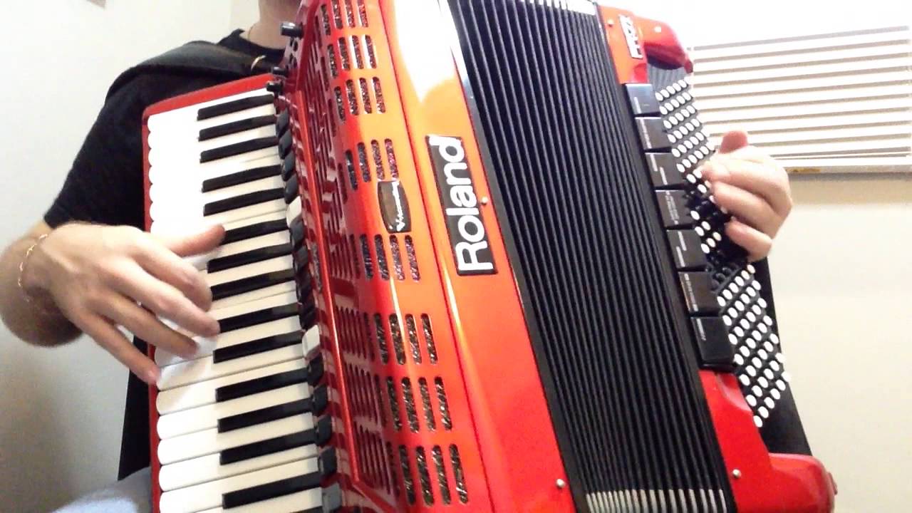Eduardo costa Sapequinha acordeon gabrielthunder02@hotmail.com roland fr7x
