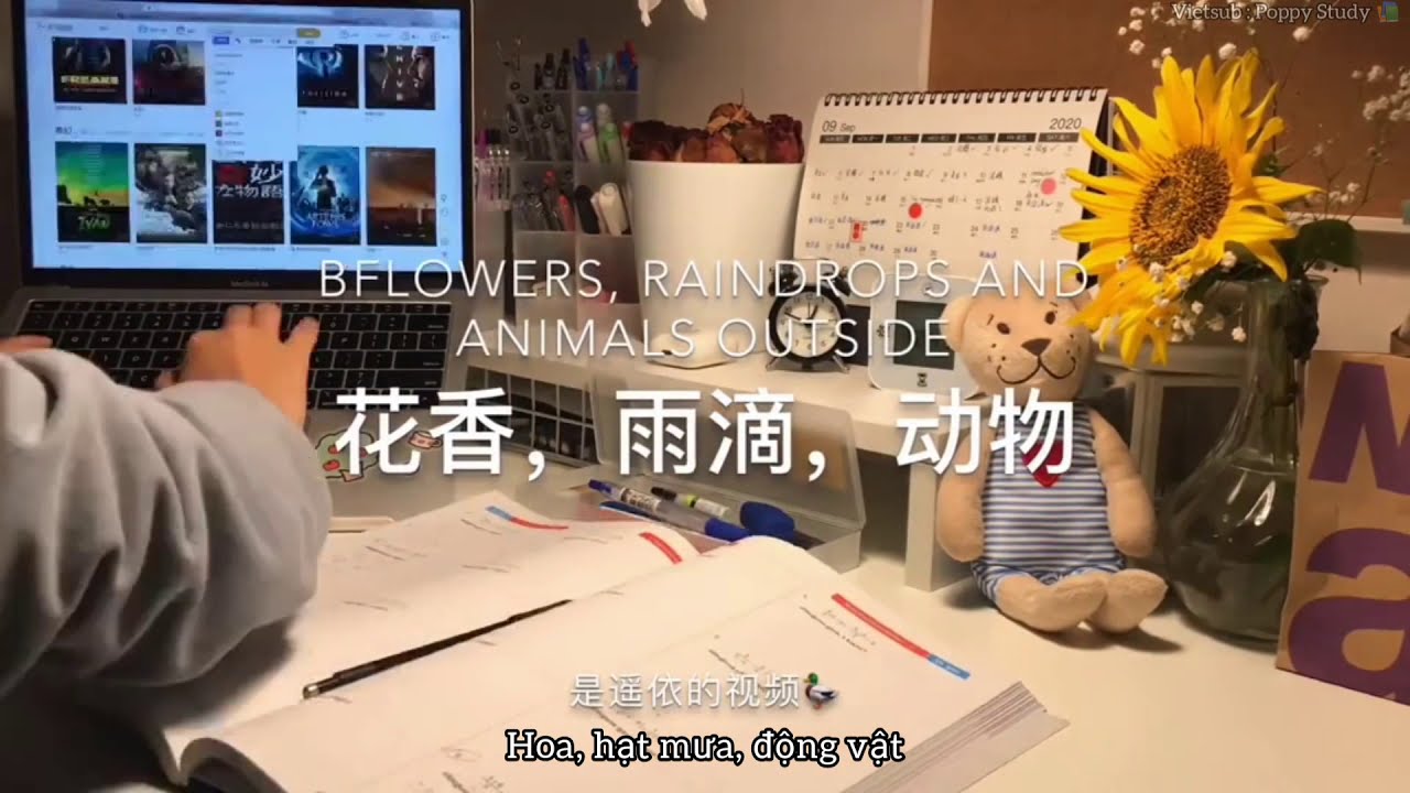#18 [ Study Account 💌 Vietsub ] |🌼Nếu như kh&ocirc;ng c&oacute; vận may, th&igrave; h&atilde;y thử d&ugrave;ng dũng kh&iacute;🌼| Poppy Study📚