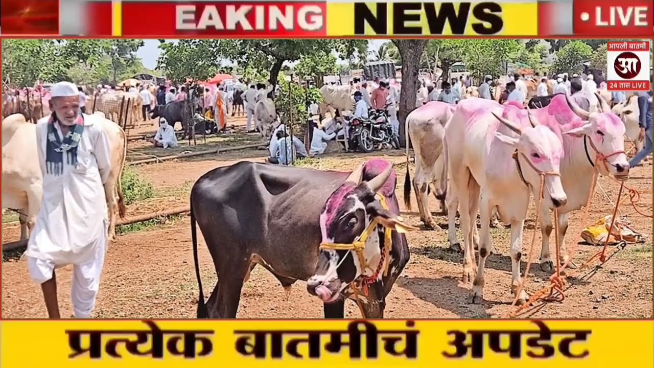 17 मार्च 2026 शेतकऱ्यांसाठी ठळक बातम्या | कर्जमाफी | कापूस भाव PM योजना, |NEWS HEADLINES