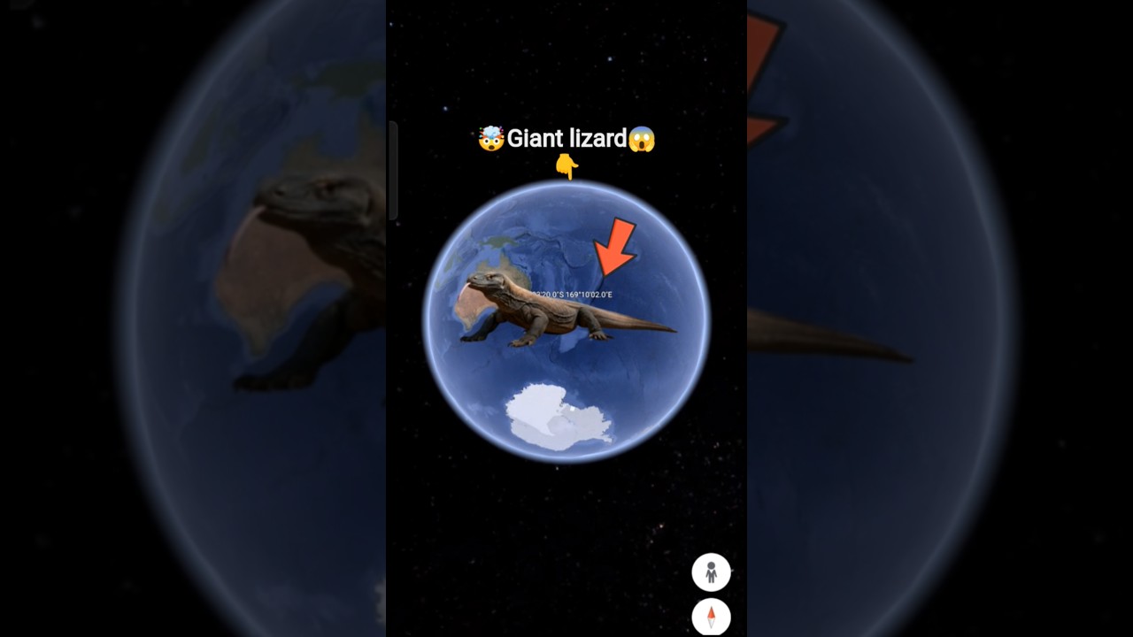 Giant lizard 😱 on Google maps and google earth 🌍 #shorts #lizard #video_creator_earth