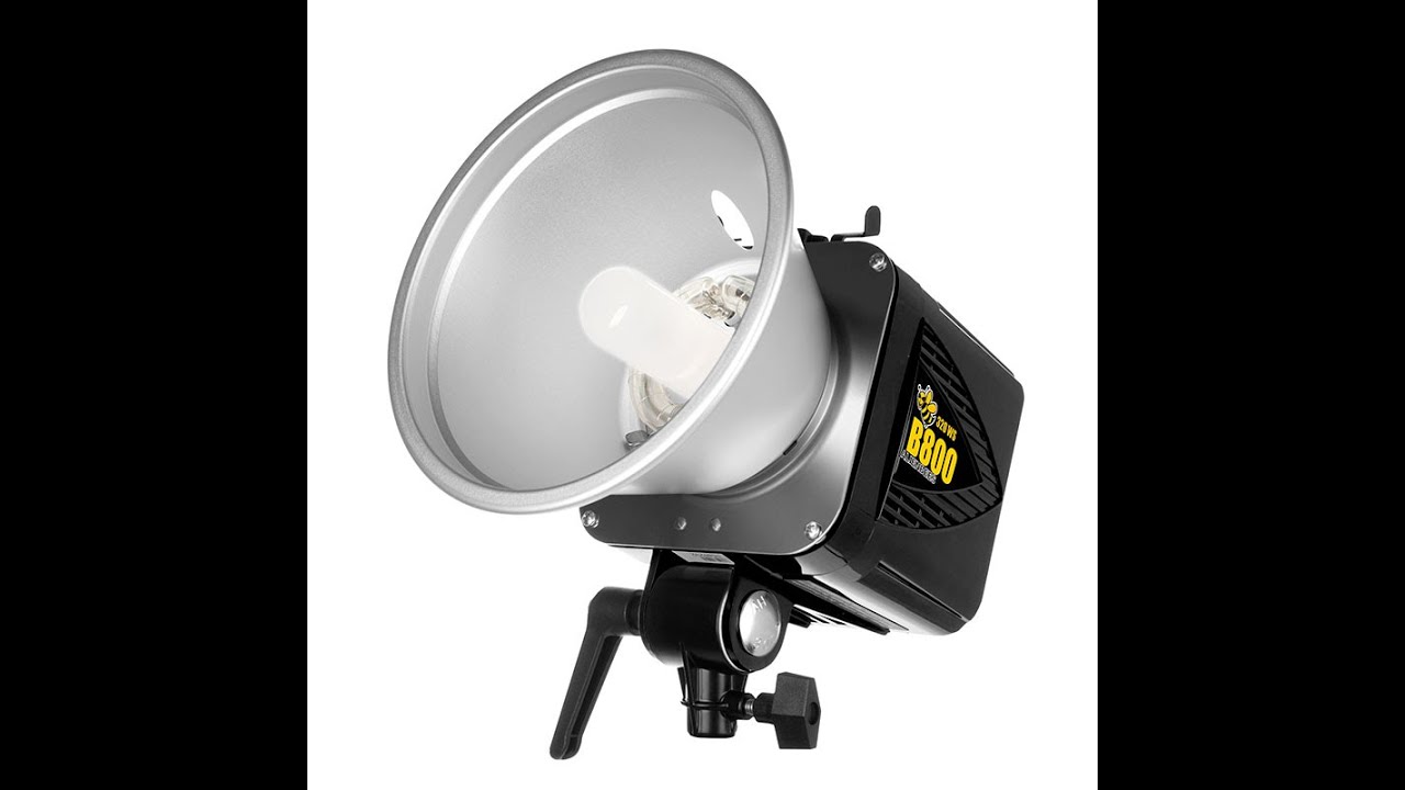 AlienBees B800 Flash Unit Review