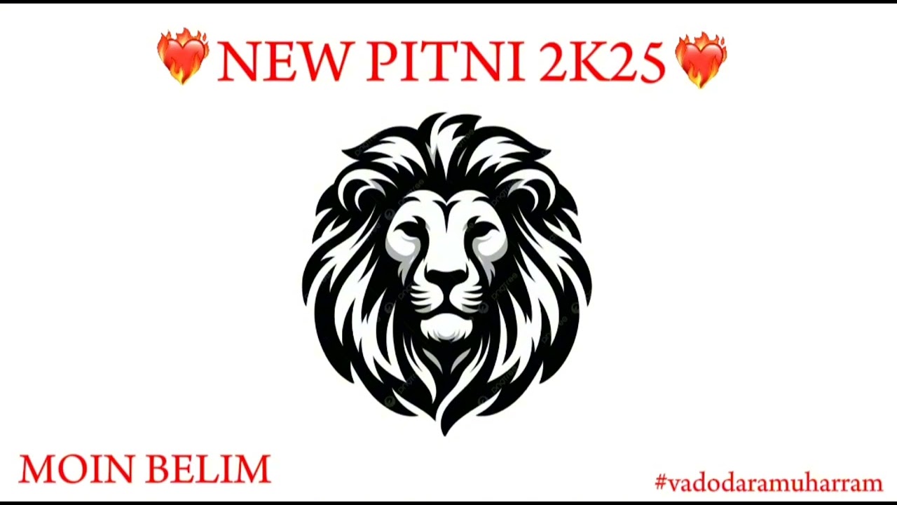 New Pitni 2k25 🦁 Moin Belim #gorwa #vadodaramuharram #muharram #viral #like #youtube