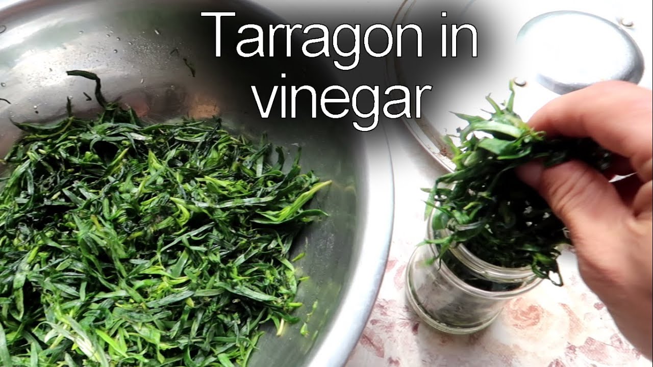Tarragon vinegar | Tarhon &icirc;n oțet | Artemisia dracunculus | PERMACULTURE | OFF GRID FARM