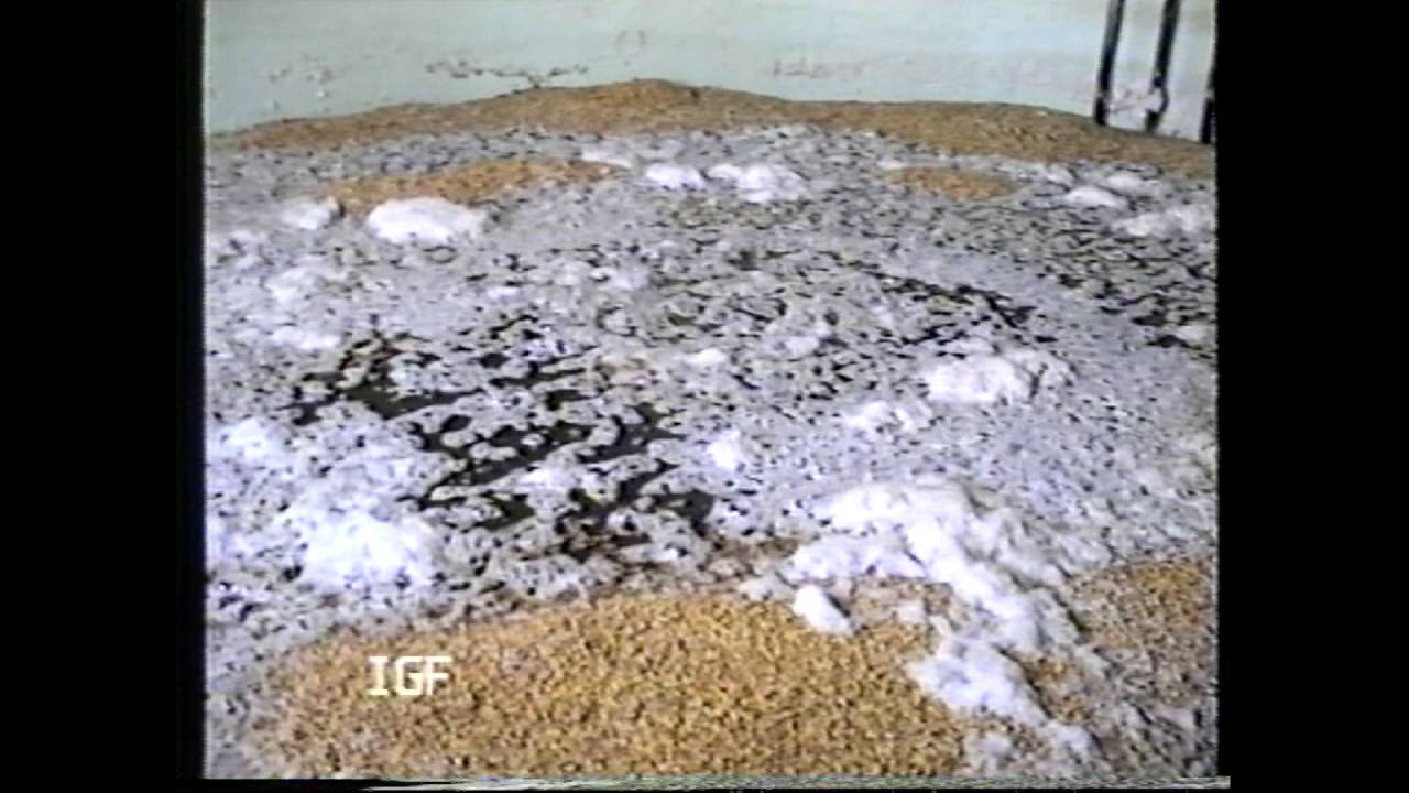 Berlin Brauerei  Malz herstellung 1989