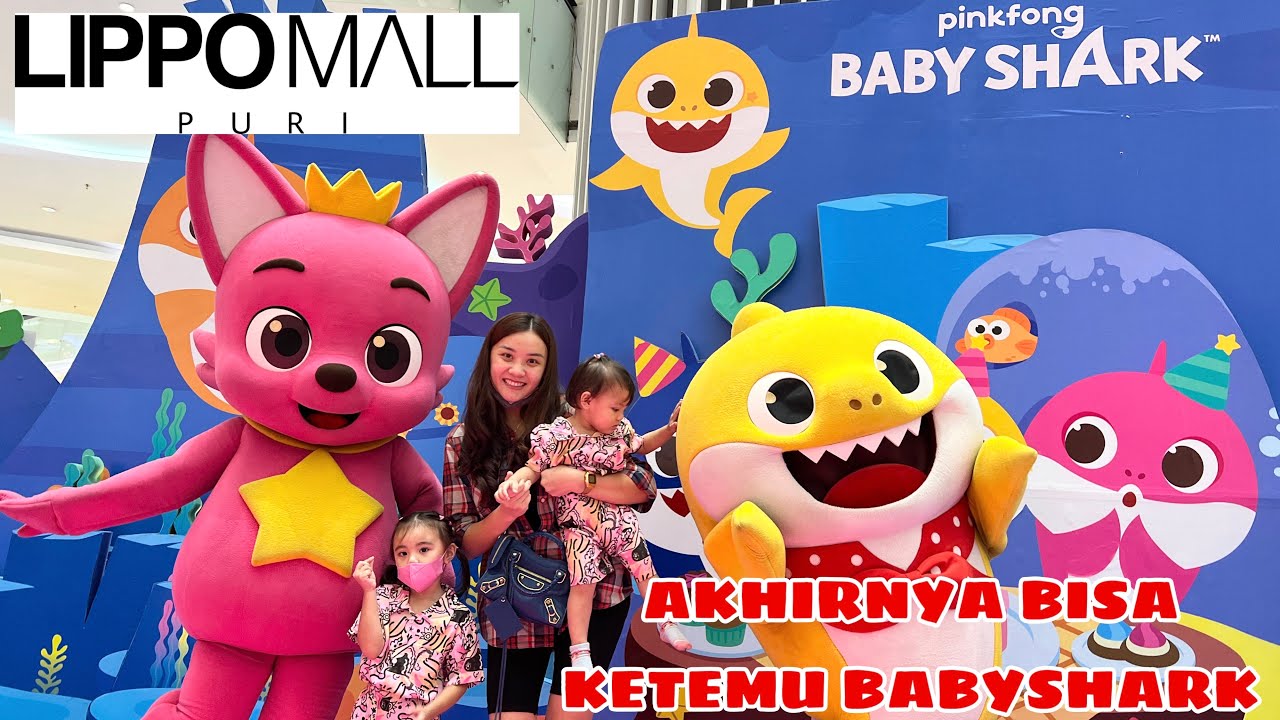 MEET & GREET BABYSHARK DI LIPPO MALL PURI🦈