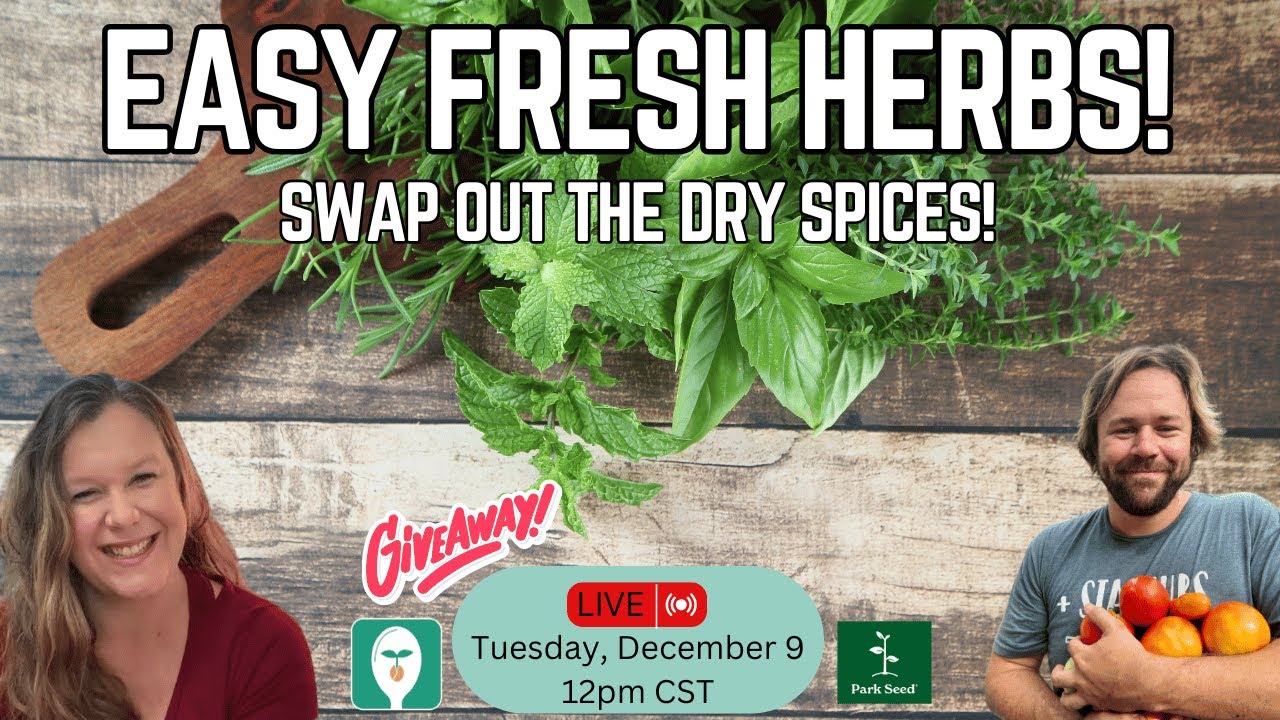 Fresh Herbs Made Easy: Simple Swaps for Your Favorite Dry Seasonings