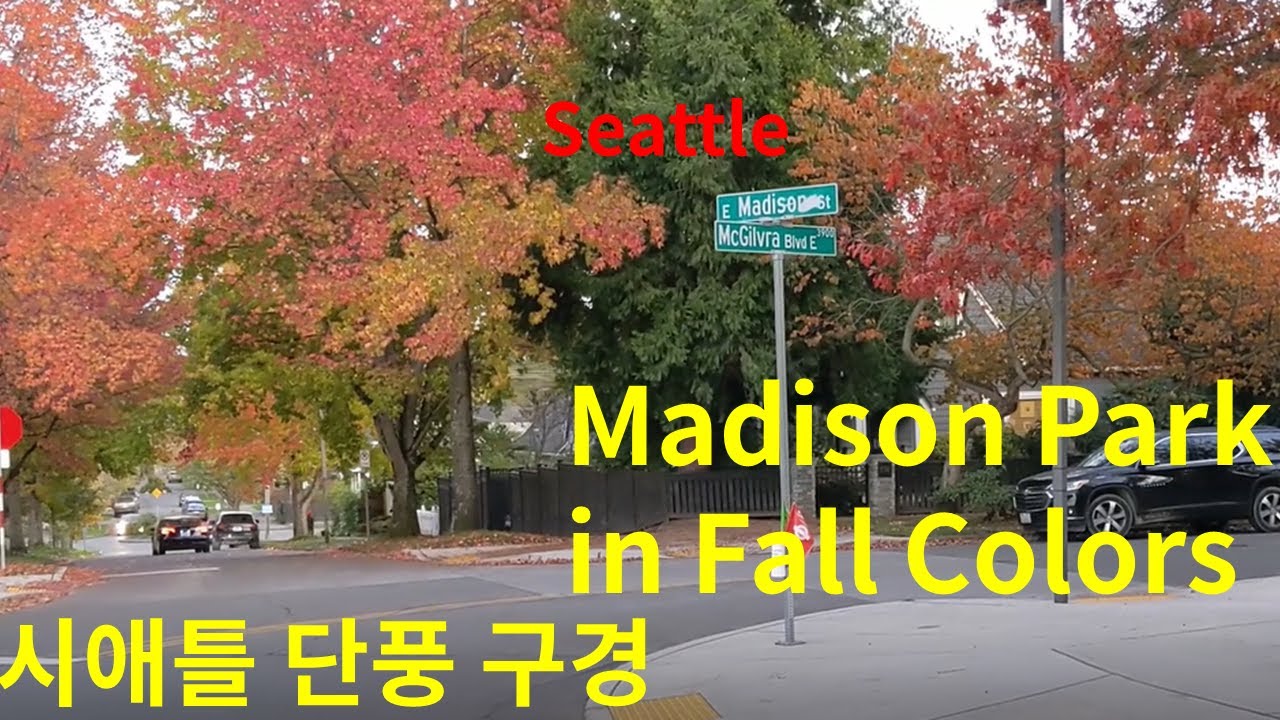 Madison Park Seattle Walk Thru /시애틀 매디슨파크 동네 탐험 /Beautiful Fall Color // 단풍 구경